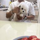 나그미커피 | 나의 2025년 12월