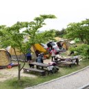 송지호오토캠핑장 이미지