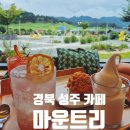 성주목장 | 경북 성주 뷰 좋은 통창 애견동반 카페 마운트리