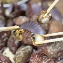 다올수산 이미지