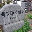 복항 Daum카페