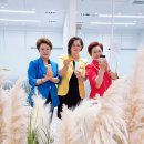 승승장구 인셀덤