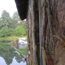 너의 곁에 있을게 이미지