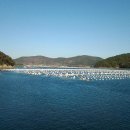 추봉도바다펜션 이미지