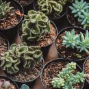 [국비지원] 조경기능사 필기 이미지