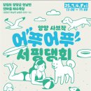 대진소프트 | [어푸어푸 서핑대회] 🏄‍♂️ 삼식이와 꼬리의 양양 어드벤처 여행기