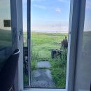 어우름펜션 | 성산일출봉 뷰 맛집 숙소 추천, 호랑호랑펜션