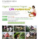 법인소풍캠핑장 | 서울근교 1시간 애견동반캠핑장 3탄
