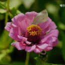 헤리티지 너싱홈 | 분당요양원 헤리티지너싱홈 신뢰받는 돌봄 시설