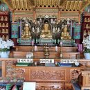 지보사
