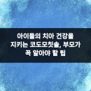신안치과재료상사 | 아이들의 치아 건강을 지키는 코도모칫솔, 부모가 꼭 알아야 할 팁