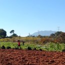 황진농장 이미지