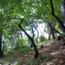 광탄면 삼거리 이미지