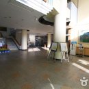 대구광역시립중앙도서관 Daum카페