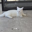 그루밍라운지 이미지