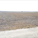 열대자보건진료소 이미지