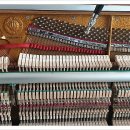 광성프라자 이미지