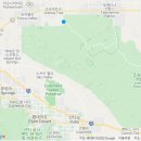 comfy house 이미지