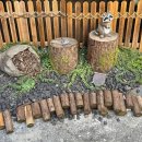 소굴 | [리뷰혜보당] 안주 맛집 종각역 술집 너구리 소굴 후기!!