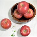 선바위농원 이미지