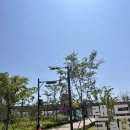 랜드마크시티5호공원 | 송도 8공구 e편한세상 후문 랜드마크시티5호 근린공원 tip 분수대 이용시간