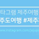 신궁양궁카페
