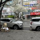 얼룩말식당(평촌점) 이미지