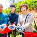 산청블루베리농장