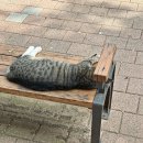 you참치&amp;생연어 | 25년 10월의 일상 조각 모음📸