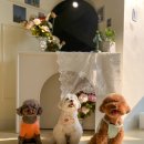 솔티위티 이미지