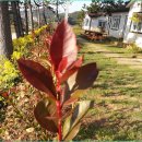 완도해금펜션 이미지