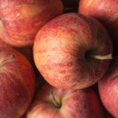 힐스템건강 이미지