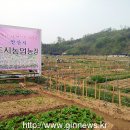 신길농장 네이버블로그