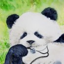 팬더선생 이미지