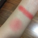 (주)핫독 이미지