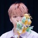 제이제이 이미지