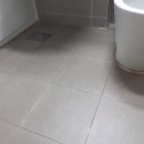 수목원풍경그린 이미지