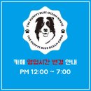 더 퍼피즈 블루 오션 쿡 이미지