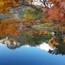 성원렌트카 이미지