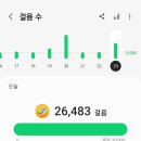 석촌공원길 이미지