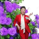 합덕연지마을 이미지