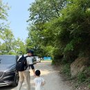 스카이주차대리