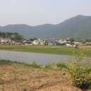 봉림마을회관 이미지