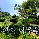 뜨락 이미지