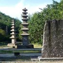 서진항공여행사(주)