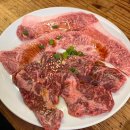 2023-0026 | 4박 5일 우당탕탕 일본 오사카 교토 여행 1탄(feat.난바역, 뉴베이브 본점, 치즈 타르트 전문점 파블로...