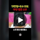 소주계의 에르메스 이미지