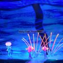 [미국🇺🇸플로리다주, 올랜도]자유여행 27일차(2)/디즈니월드 애니멀킹덤, Disney World Animal Kingdom...