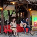 참나무쟁이 이미지