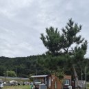 고흥만소공원화장실(남자) | [캠핑장후기] 고흥만 수변노을공원 해변캠핑장 후기